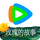 预约女S调教的亲身经历